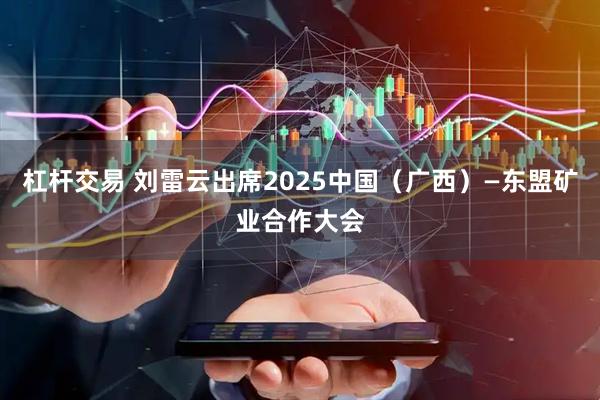 杠杆交易 刘雷云出席2025中国（广西）—东盟矿业合作大会